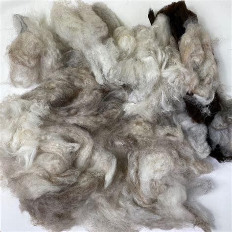 Washed and Combed Wool Fibres for Craft (200g) - Isle of Auskerry