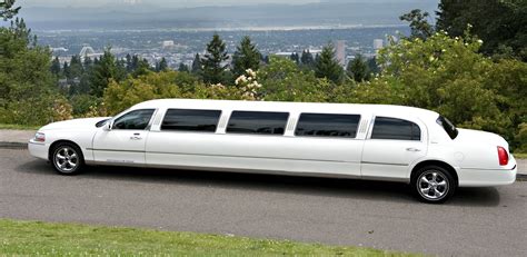 Your Luxury Travel Guide for Many Limousine Types