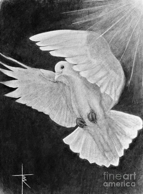 Descending Dove Drawing by Travis Ricks - Fine Art America