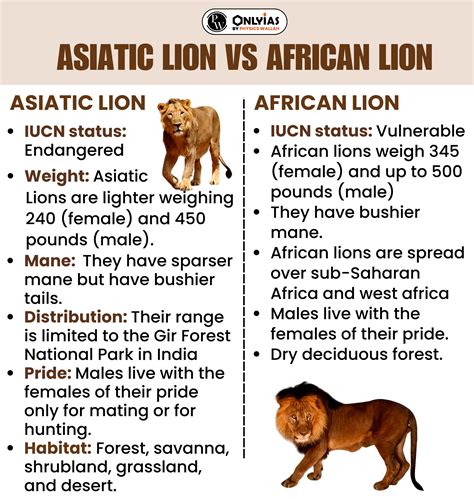 asiatic lion iucn status Asiatic lion india