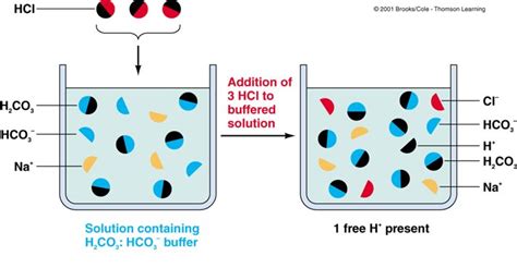 Buffers & Indicators - Acids And Bases 101: The Basics Of Chemistry