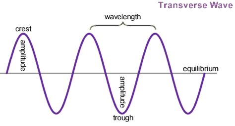 Which of the Following Best Describes Transverse Waves - AlfonsokruwGreene