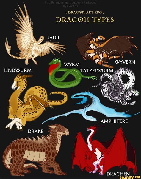 DRAGON ART RPG. DRAGON TYPES SAUR AMPHITERE DRACHEN - seo.title