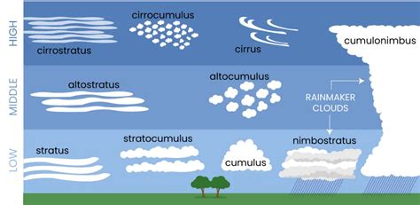 Antwort What are five cloud types? Weitere Antworten – What are the ...