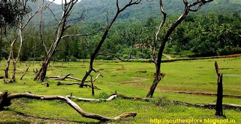 SOUTH INDIA TOURISM: KAKKAYAM DAM CALICUT | KAKKAYAM VALLEY ...