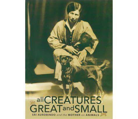 All Creatures Great and Small | Auromere