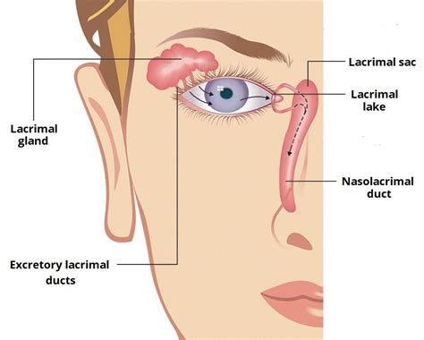 The importance of tears for eye health | Plano Eye Health