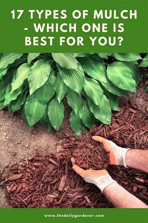 17 Types of Mulch - Which One is Best for You?