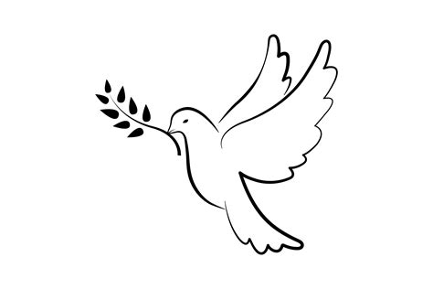 Why Is The White Dove A Symbol Of Peace - Design Talk