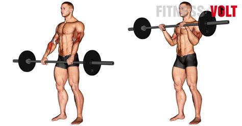 Barbell Reverse Curl : How-To, Tips. Variations and Video Guide