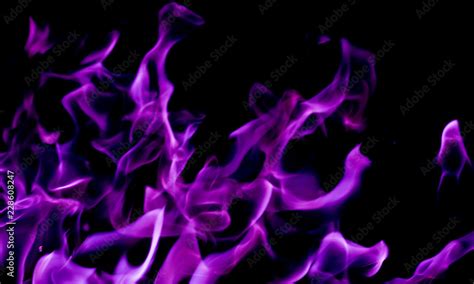 Purple fire flames on a black background Stock Photo | Adobe Stock