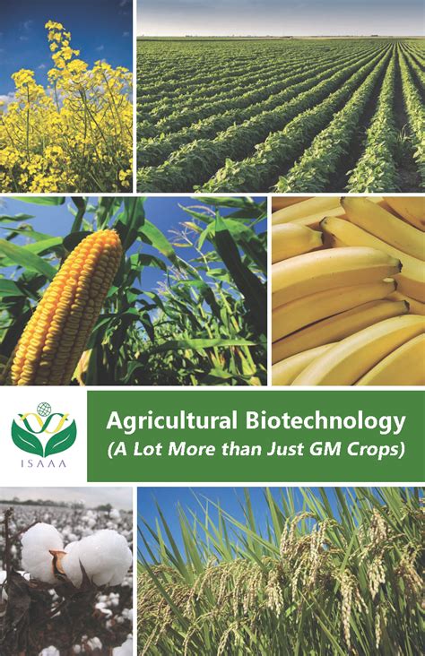 Agricultural Biotechnology (A Lot More than Just GM Crops) - ISAAA ...