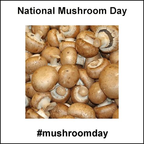 National Mushroom Day - October 15, 2019 | Stuffed mushrooms, Food ...