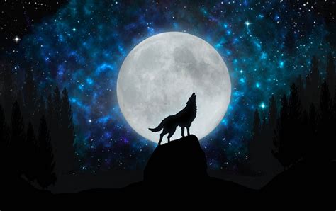 Howling wolf