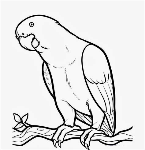 Bird Outline Drawing at GetDrawings | Free download