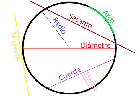 TOMi.digital - Partes de una circunferencia