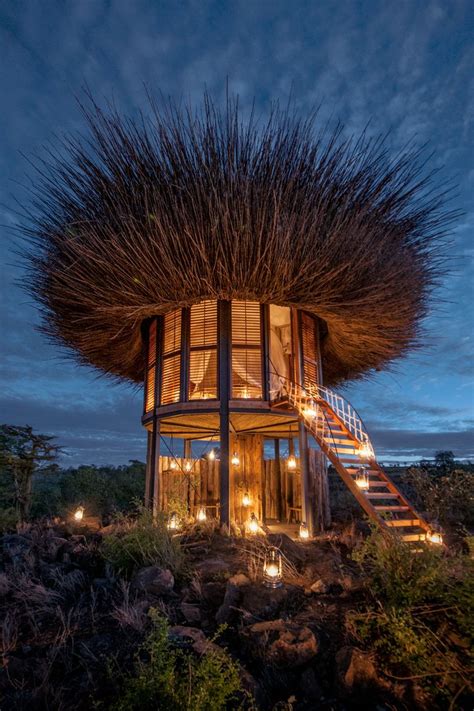 This giant bird's nest is actually a VERY luxurious safari lodge where ...