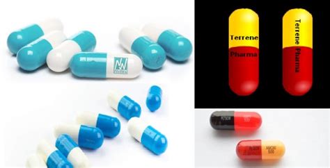 Figure 6 Different types of capsules - SaintyTec