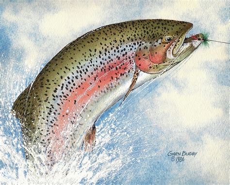 Rainbow Trout Painting by Garn Bugby - Pixels