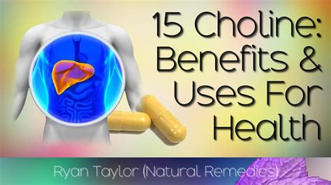 L choline benefits – Prnso