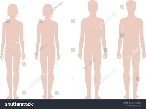 Boy Girl Teenager Figure Body Proportions Stock Vector (Royalty Free ...