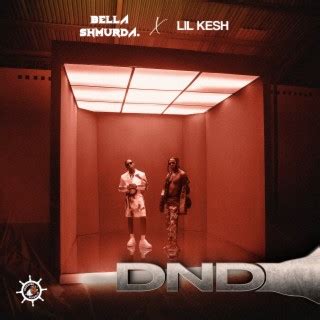 Download Bella Shmurda album songs: DND ft. Lil Kesh | Boomplay Music