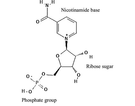 Chemical structure of nicotinamide mononucleotide (NMN). | Download ...