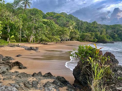 Some Of The Best Snorkeling Is Around Drake Bay, Costa Rica