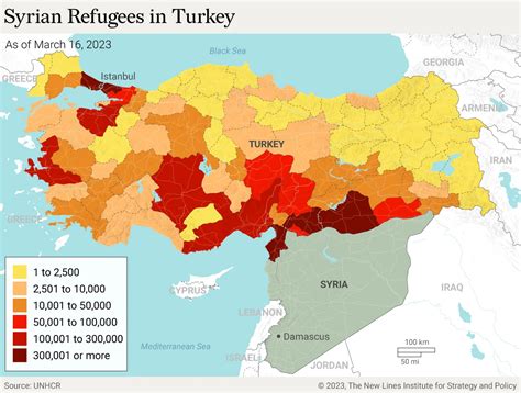 Protecting Syrian Refugees in Turkey from Forced Repatriation - New ...