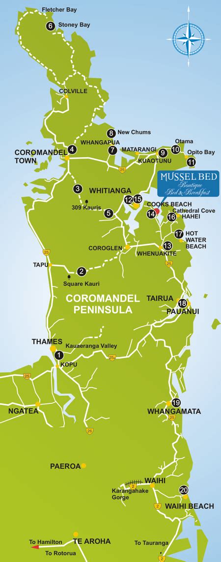 Mussel Bed Boutique Holiday Accommodation :: Cooks Beach, Coromandel ...