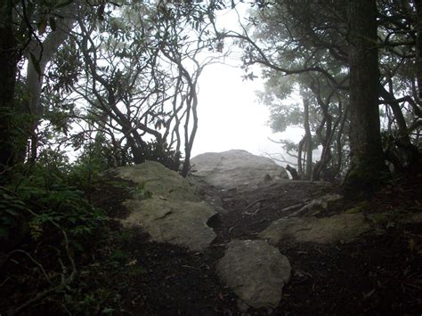 Moses Cone Hiking Trails -- Blowing Rock, NC | HubPages