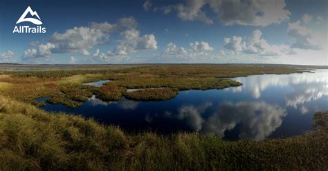 Best Trails in Paynes Prairie Preserve State Park - Florida | AllTrails