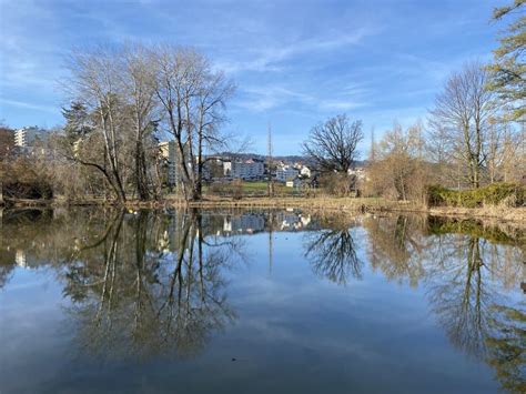 Lake Au Ausee on the Au Peninsula in Lake Zurich Zürichsee Oder ...