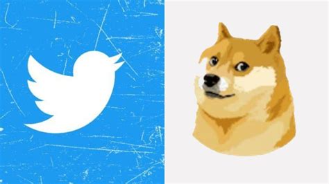 Elon Musk replaces the iconic Twitter bird logo with a dog icon; here's ...