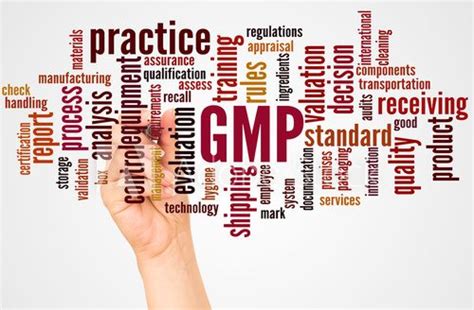 Service | GMP Compliance - NUVOconsultancy