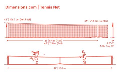 Tennis Ball Dimensions & Drawings | Dimensions.com