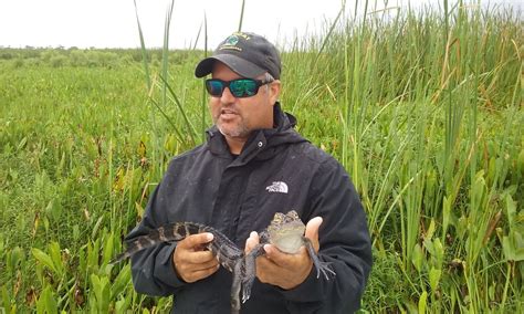 Small Airboat Tours | SwampTours.com Swamp Experiences