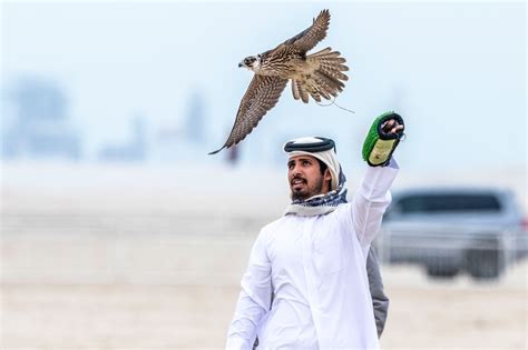 Traditional hawk festival in Doha 2022 | Daily Sabah