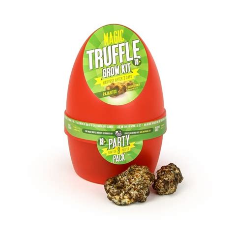 Magic Truffles Grow kit Pajaritos - Truffle Mushroom Center