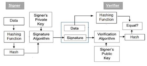 Digital Signature Algorithm (DSA) in Cryptography