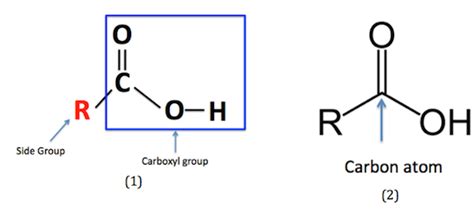 Carboxylic Acid Functional Group Structure