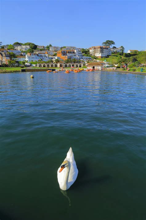 Fun Things to do in Paignton: A South Devon Resort Town