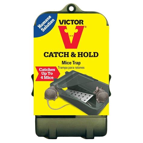 Victor Multi-Catch Live Mouse Trap-M333 - The Home Depot