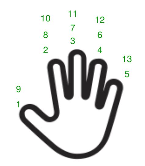 Fingers Numbered Anatomy