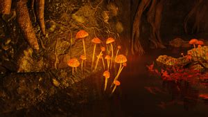 Enlightened fungus - The Vault Fallout Wiki - Everything you need to ...