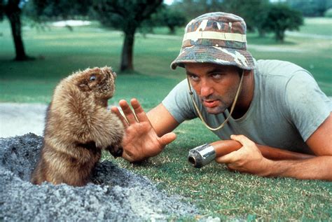 Bill Murray: See Photos of His Best Movie Roles | Time