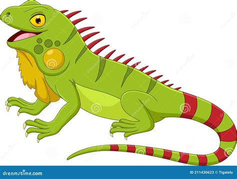 Cartoon Iguana Isolated on White Background Stock Vector - Illustration ...