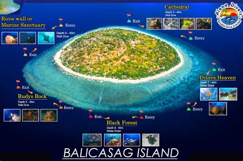 Balicasag Island — Alona Divers