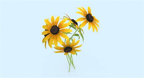 3d Black Eyed Susan Bouquet