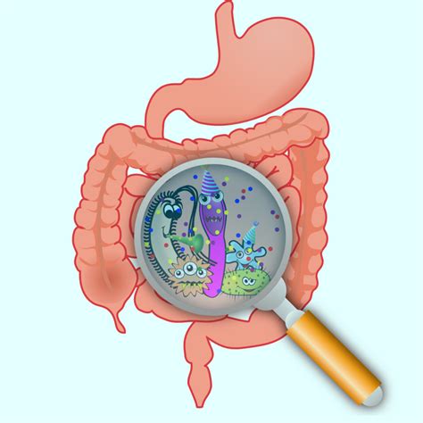 Crohn's Disease Archives - Fellow One Research